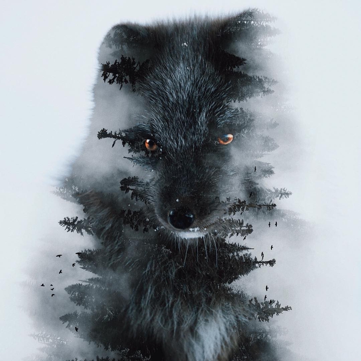 ?