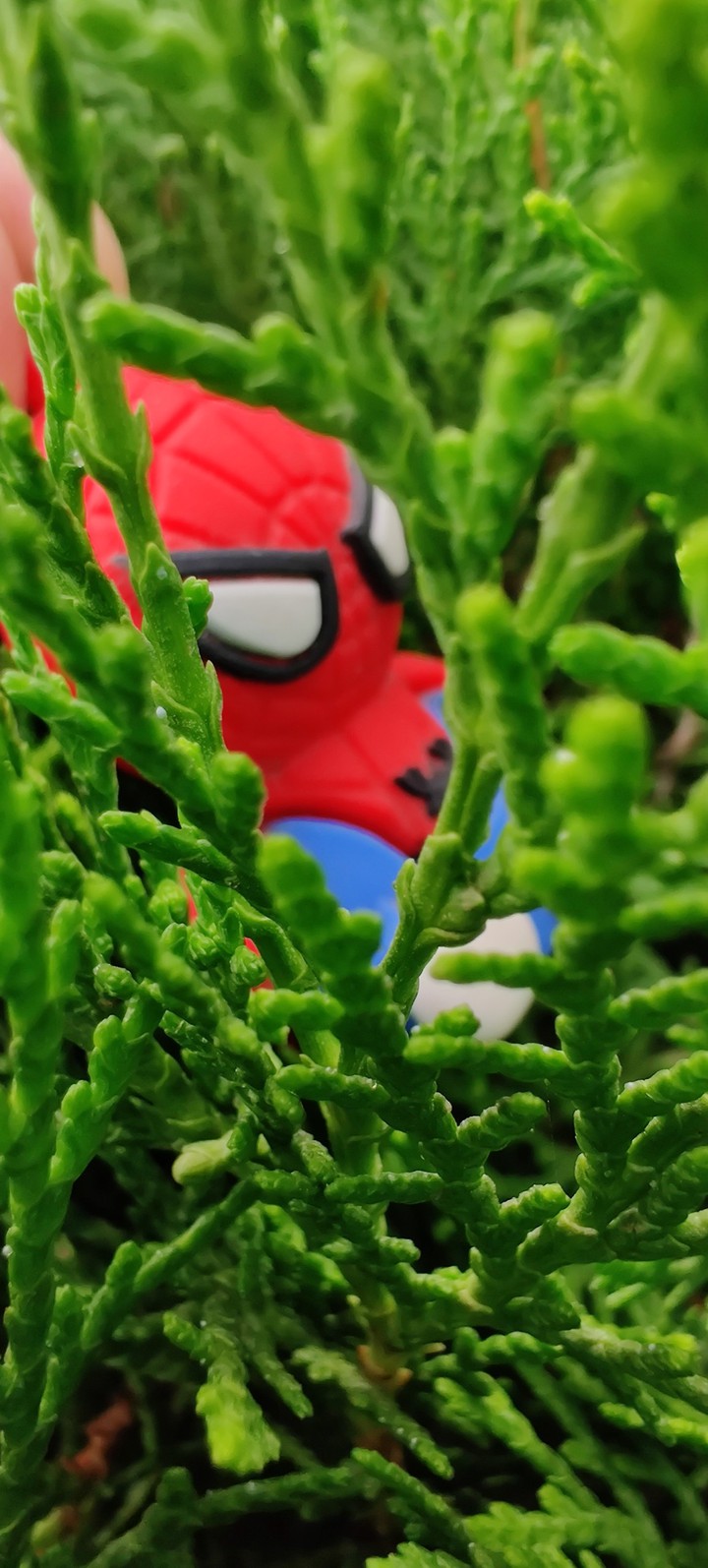 micro