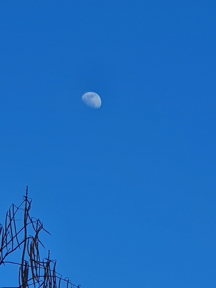 moon