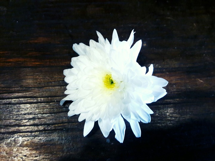 White flower