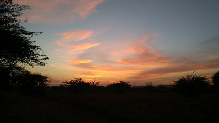 Evening shot