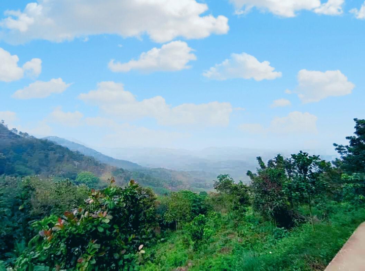 Nilambur Mountains