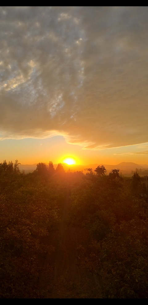 fondos de pantalla sun, sunset