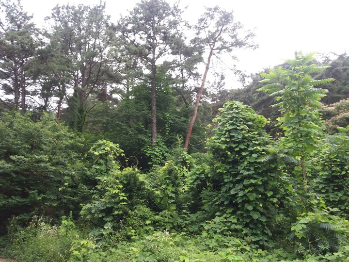 모악산