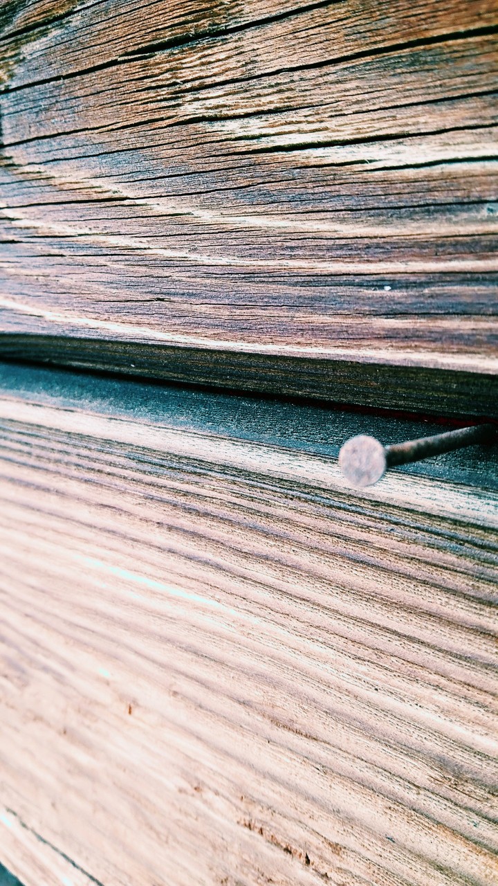 wool