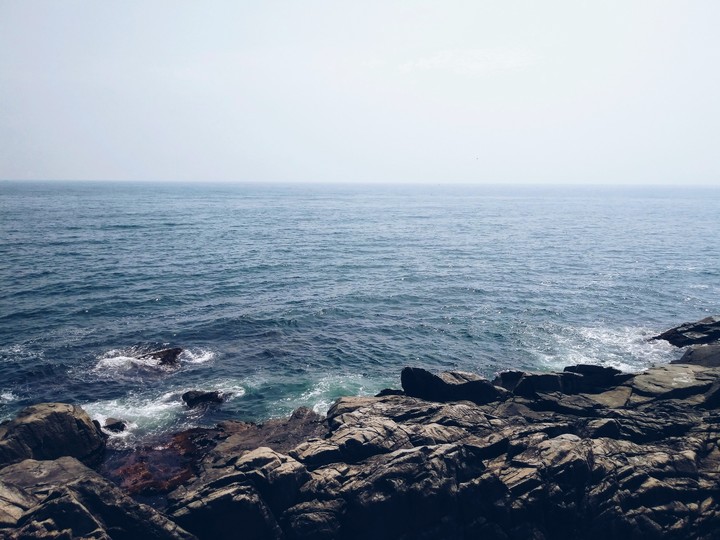 Summer Coast