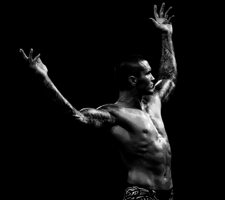 Randy Orton