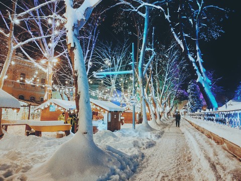 Beautiful winter