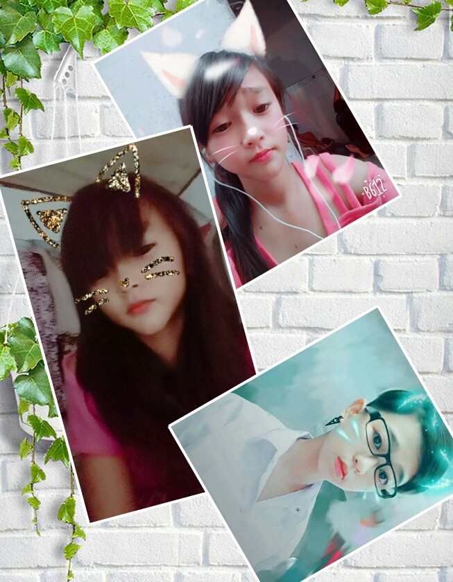 gì Sn x