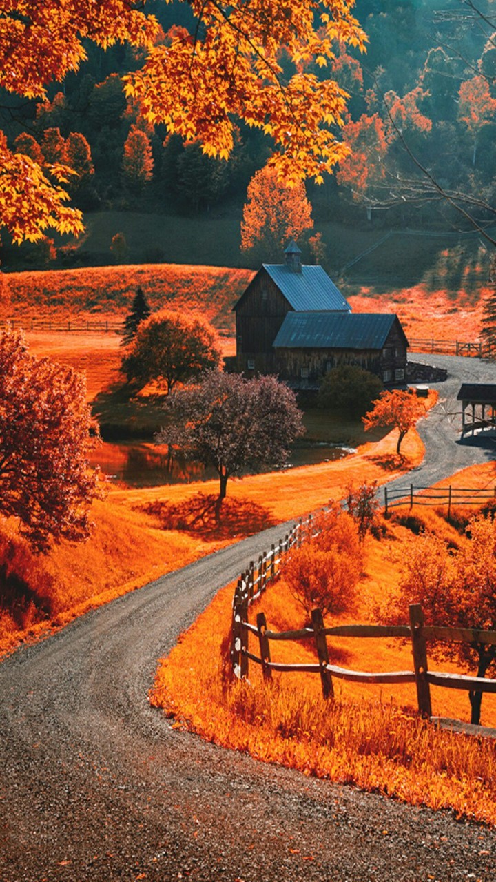 Australia in fall wallpapers