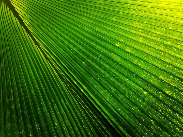 natural aesthetic