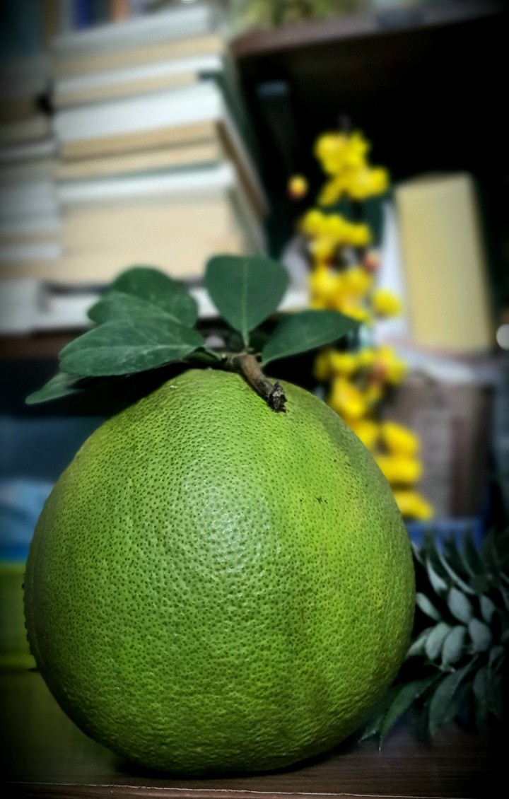 Grapefruit