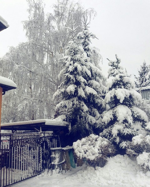 Snow on everthings