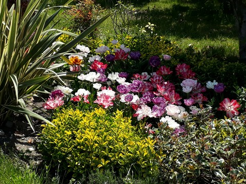 spring garden