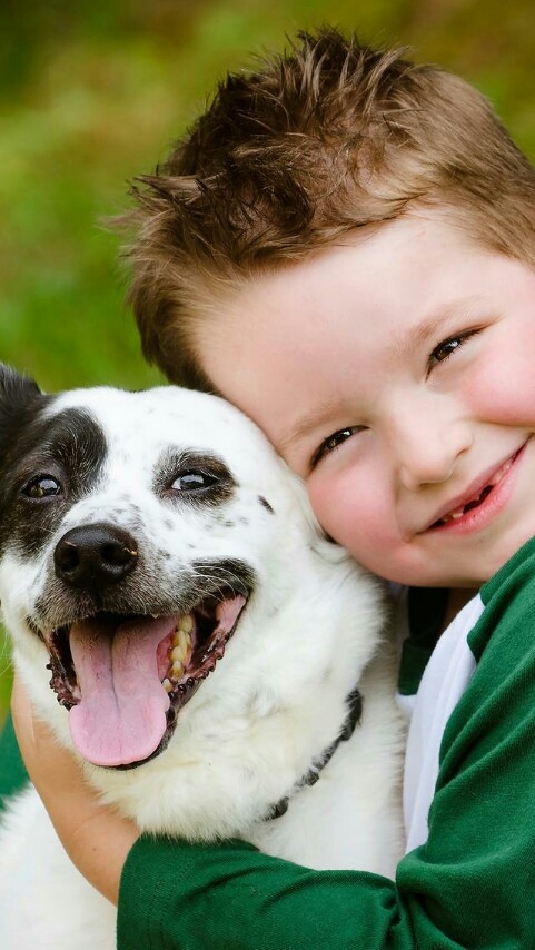 dog