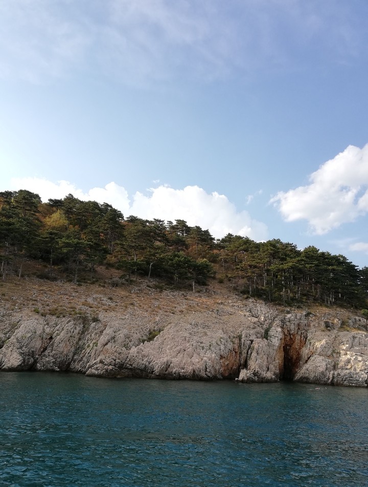 Vrbnik