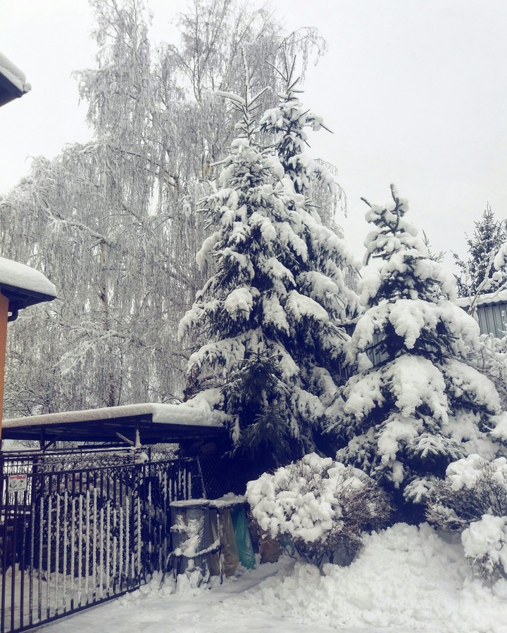 Snow on everthings