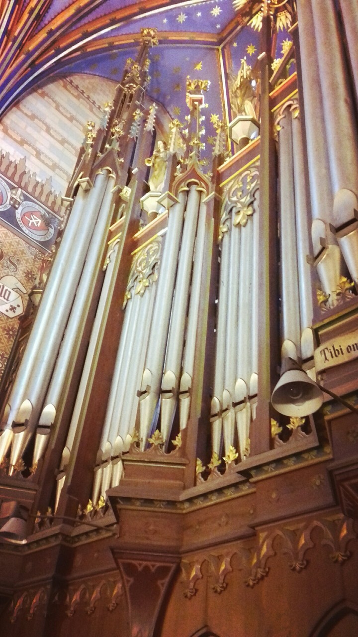 Pipe organ ❤ new love ❤ cathedral