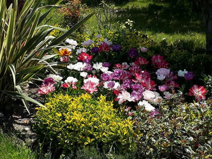 spring garden