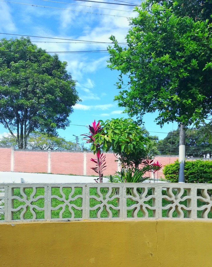 Naturaleza
