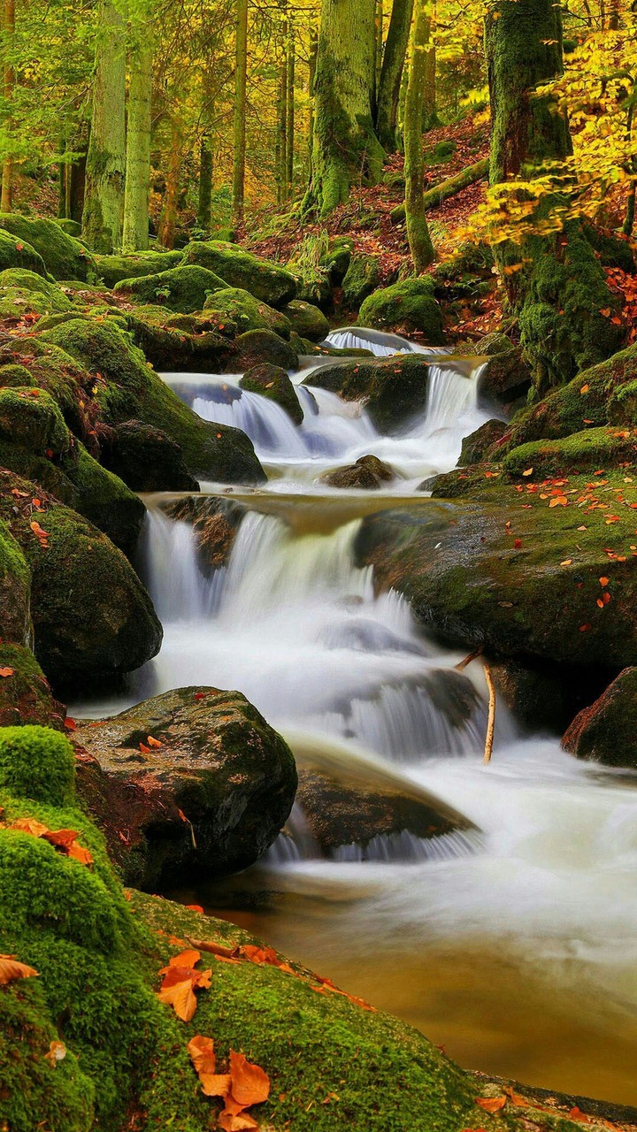 Paraíso