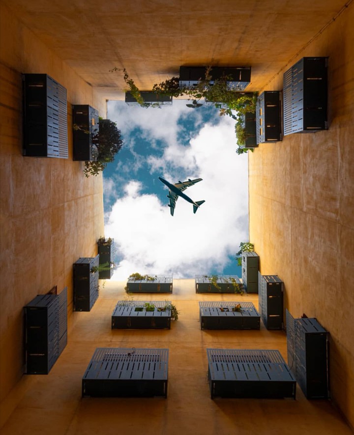 Perspective
