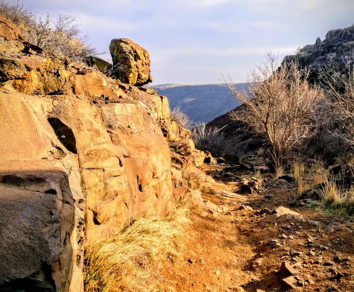 Mountain bike trail
