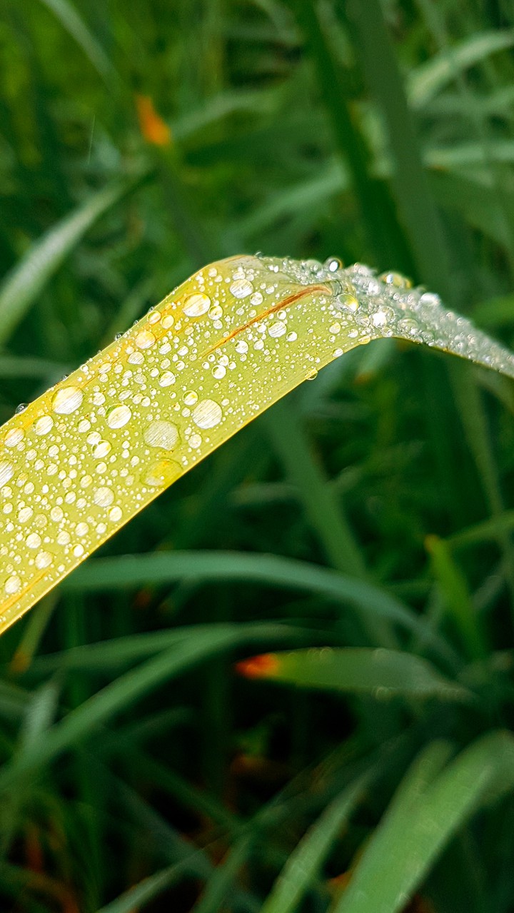 rainy rainy-rainyday9