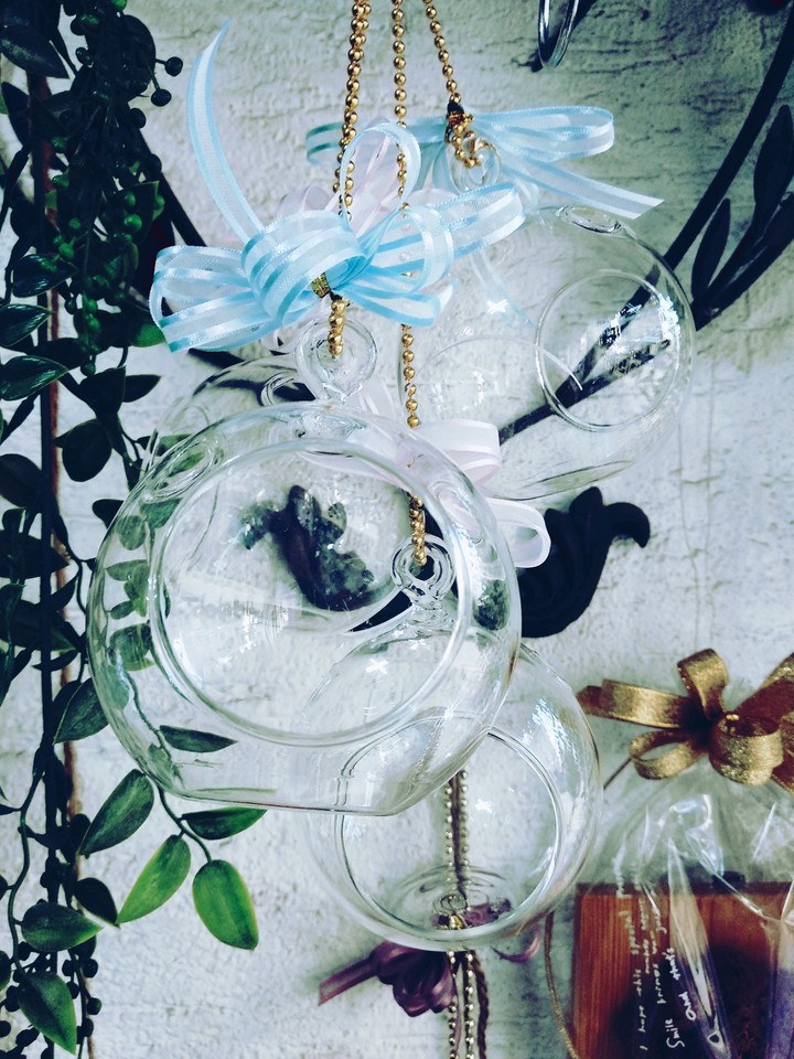 Plants