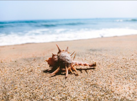sea