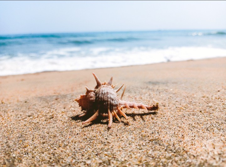 sea