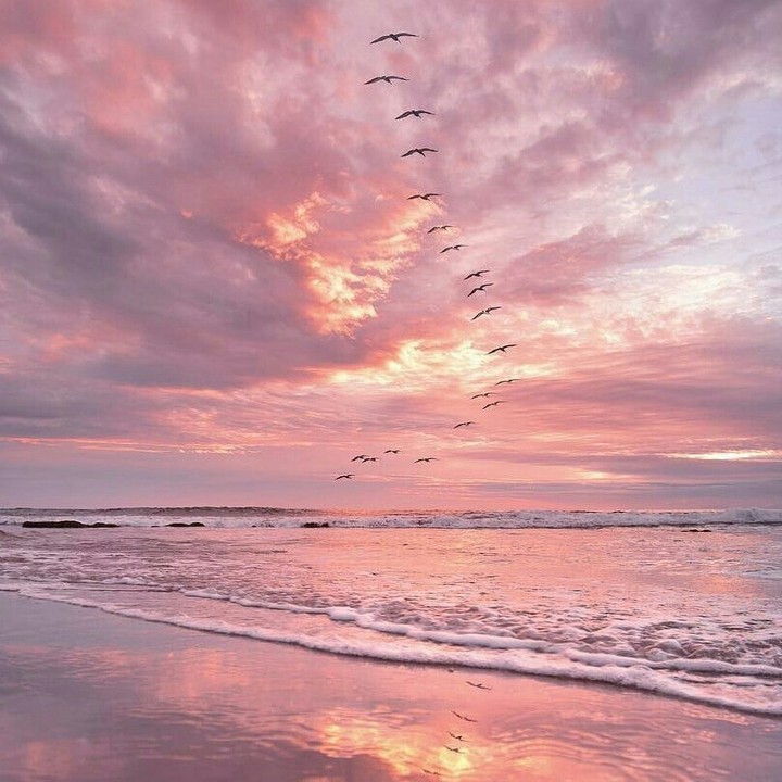 Sea♡