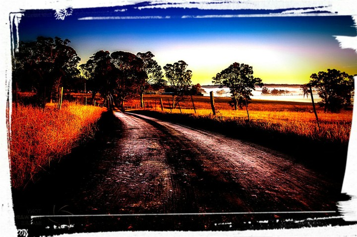 farm mornings