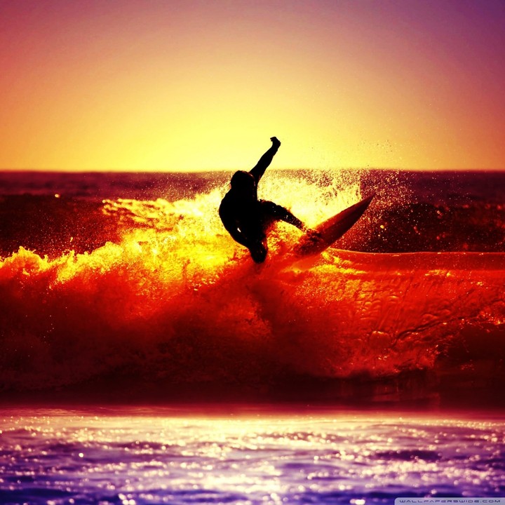 surfe