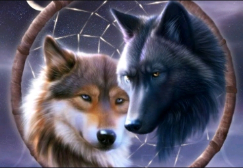 lobo
