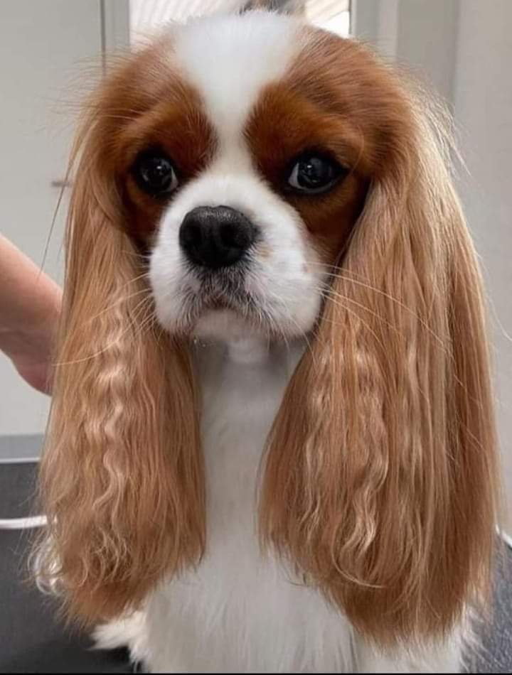 765