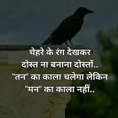 frinds forever
