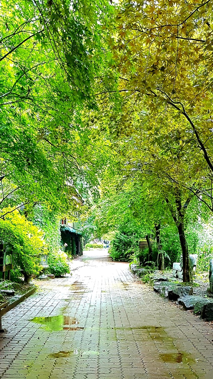 숲길