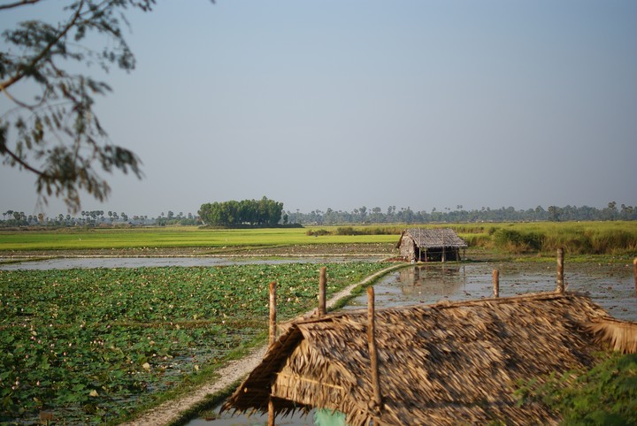 Village