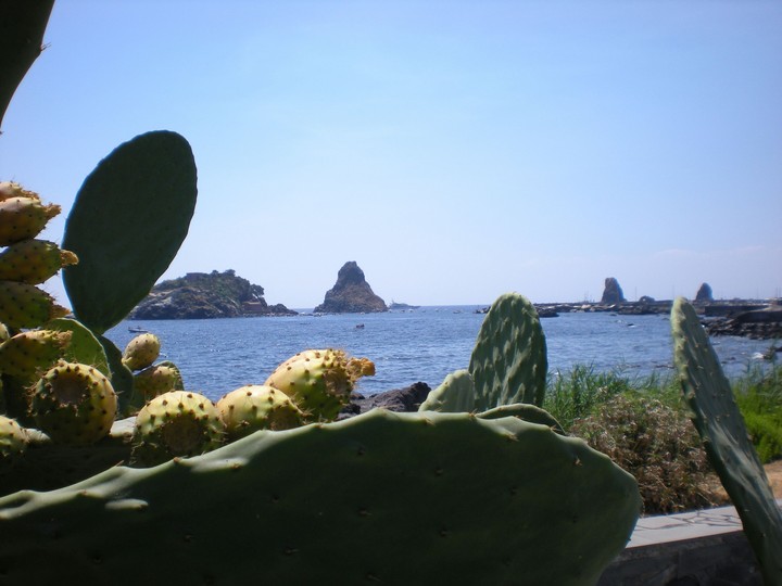 Foto di: G.C.Greco - Acitrezza