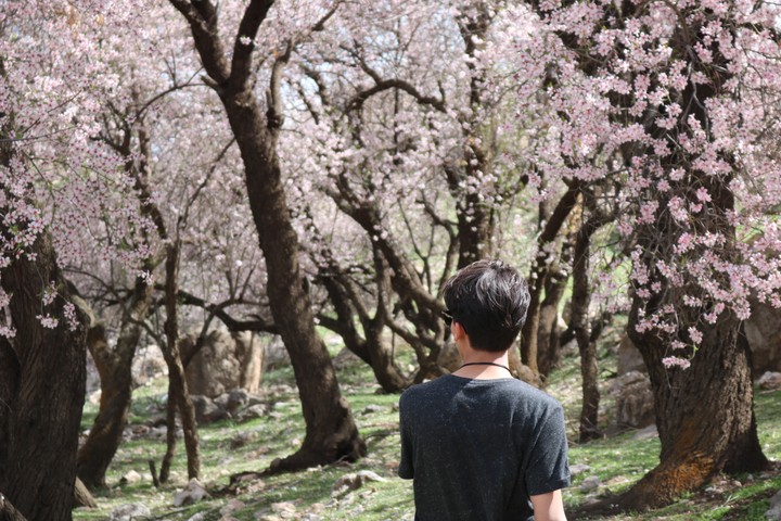 spring