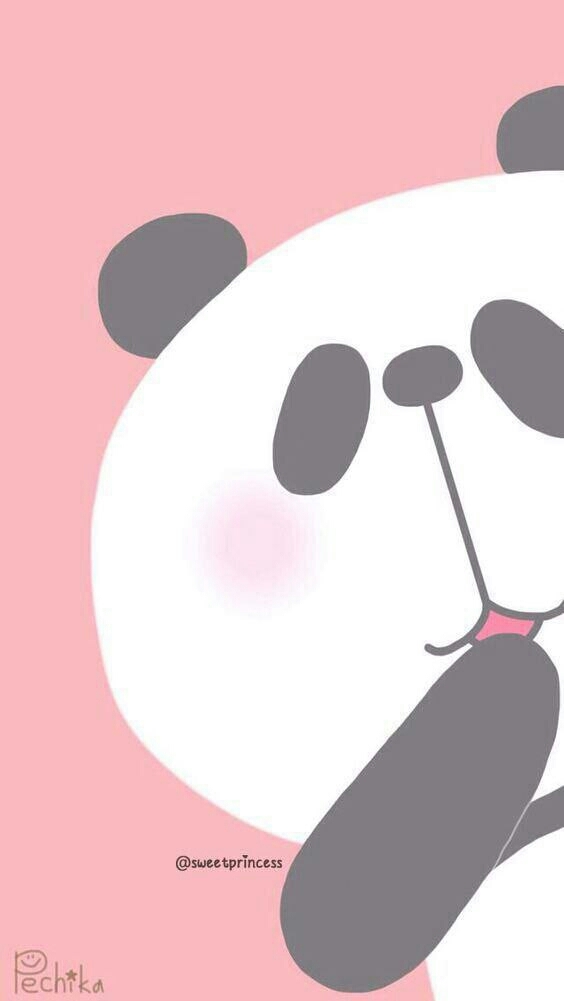 a cute panda
