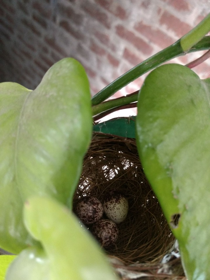 new life