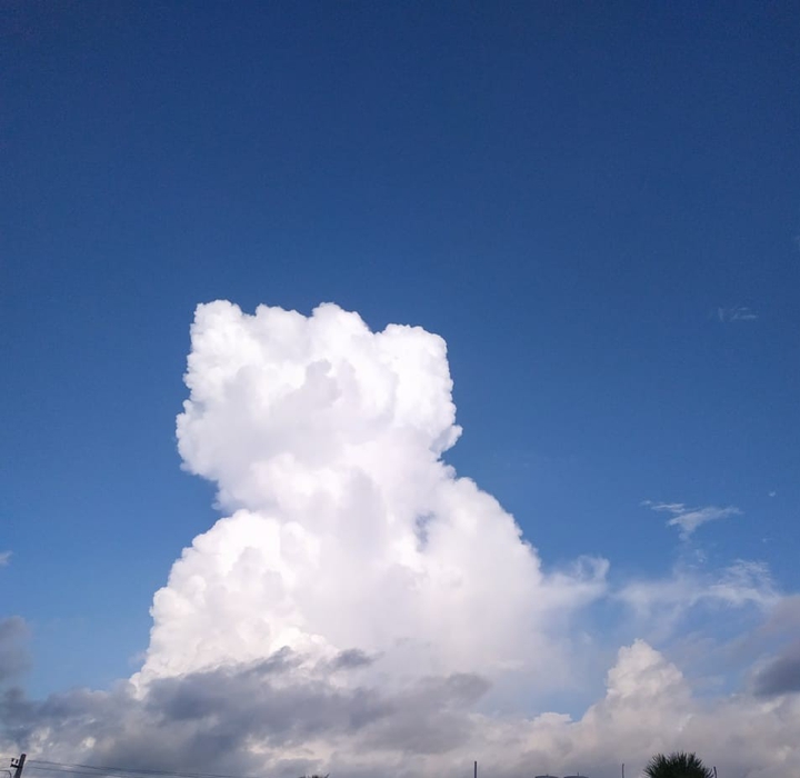 white clouds