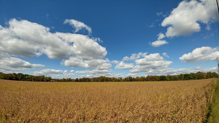 crops and clouds