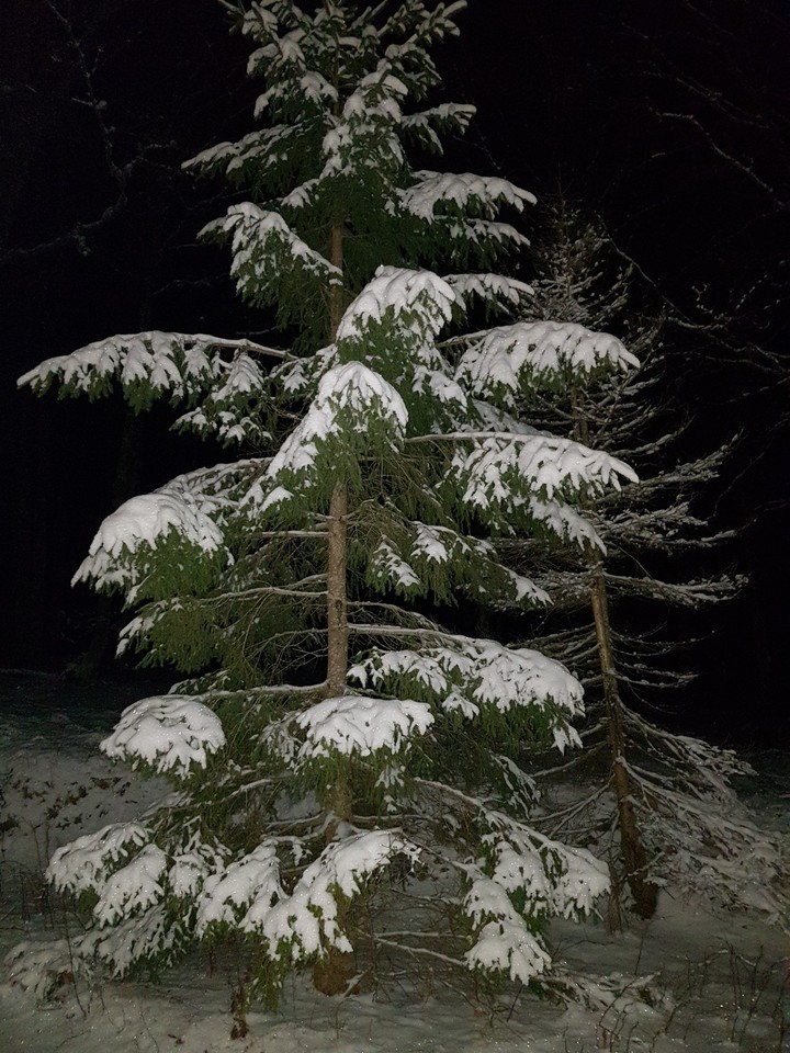 snow