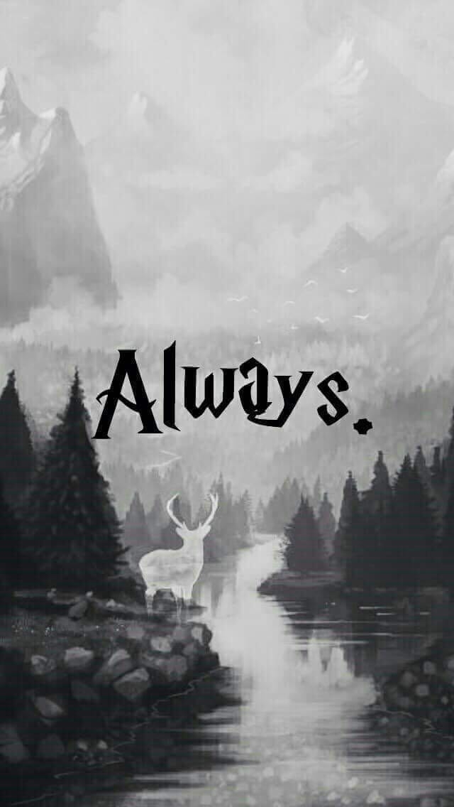 Harry Potter #5