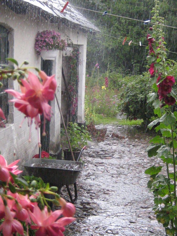Rain