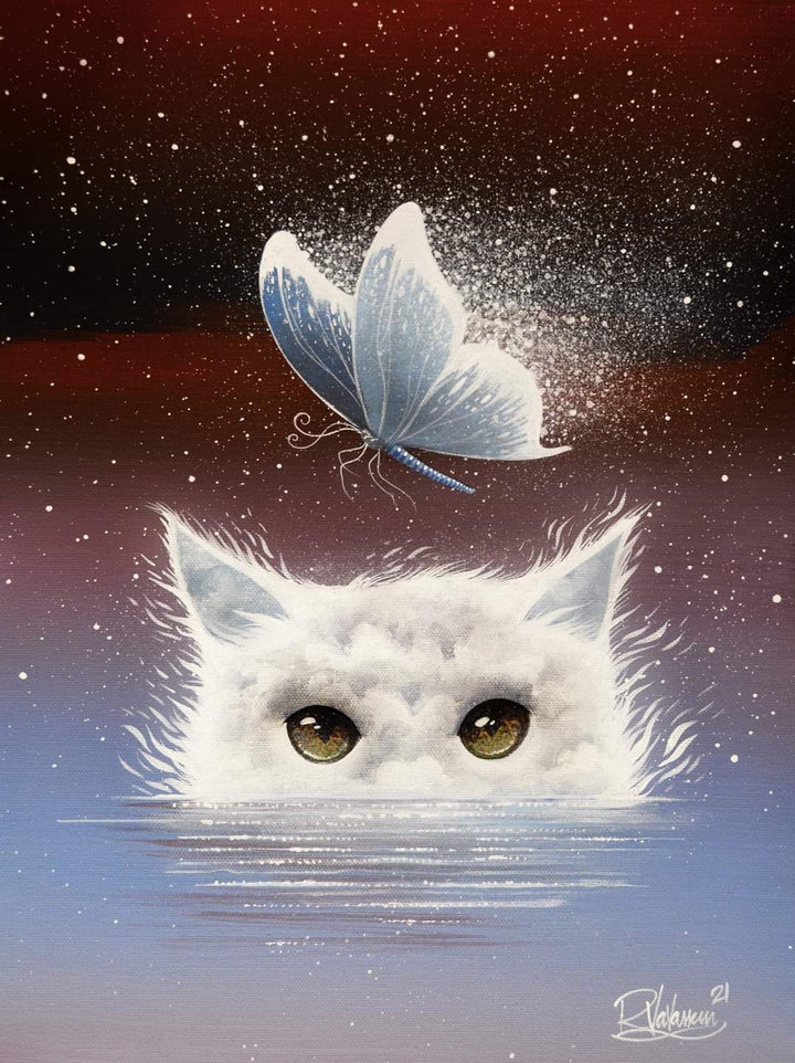 chat blanc