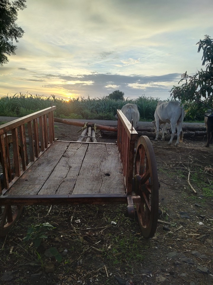 sunrise